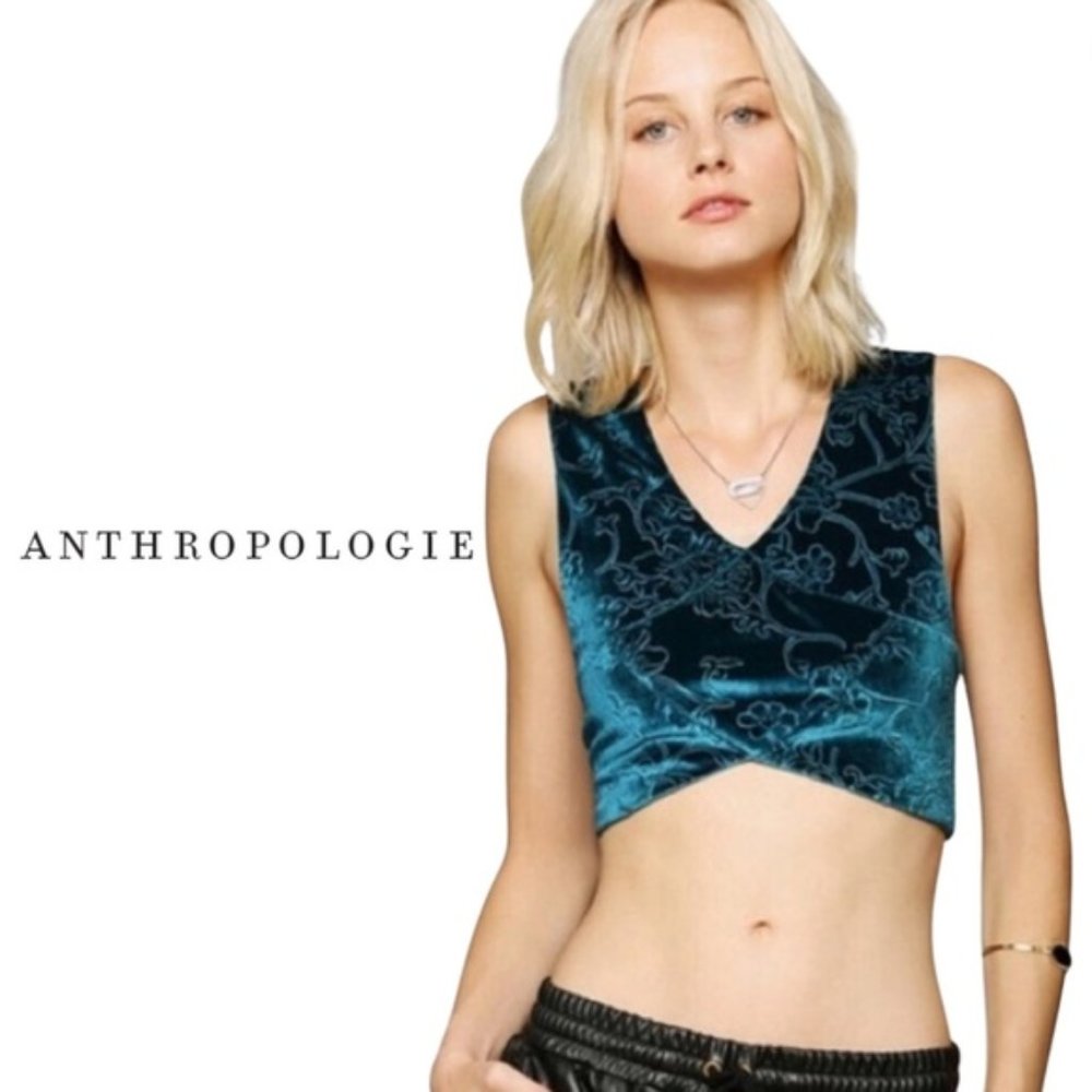 Anthropologie Blue Velvet Crop Top
